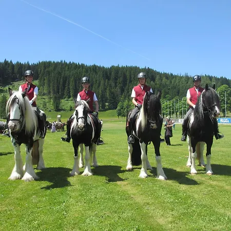 Lantgård Reitercamp Ortnerhof Ramsau am Dachstein